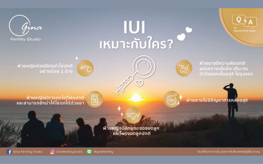 IUI เหมาะกับใครบ้าง?